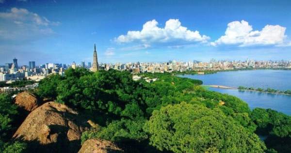 學(xué)習(xí)國(guó)外苗木行業(yè)經(jīng)驗(yàn)，搶先了解國(guó)內(nèi)市場(chǎng)動(dòng)態(tài)