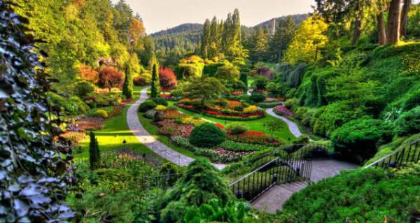 學(xué)習(xí)國(guó)外苗木行業(yè)經(jīng)驗(yàn)，搶先了解國(guó)內(nèi)市場(chǎng)動(dòng)態(tài)