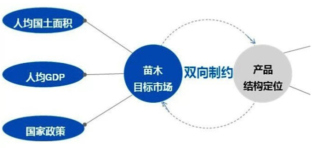 學(xué)習(xí)國(guó)外苗木行業(yè)經(jīng)驗(yàn)，搶先了解國(guó)內(nèi)市場(chǎng)動(dòng)態(tài)