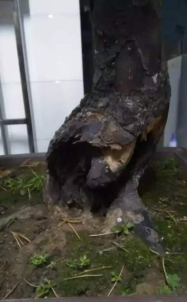天?？惺车臉錁? width=